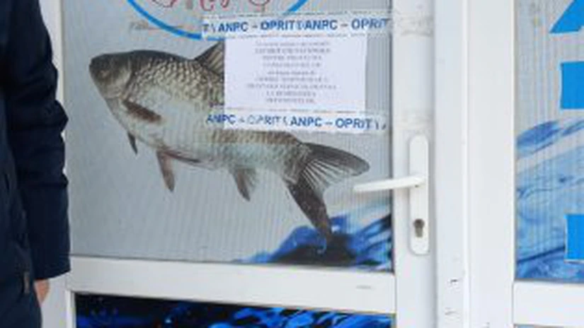 ANPC a intrat peste comercianții de preparate și conserve din pește. A plouat cu amenzi