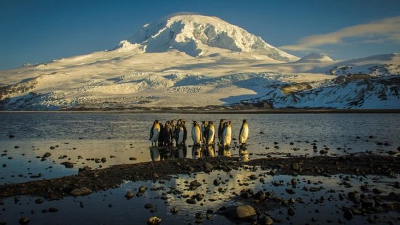 Nici pinguinii nu mai scapă de furia lui Trump. Președintele american a impus taxe unor insule nelocuite, aflate în apropiere de Antarctica