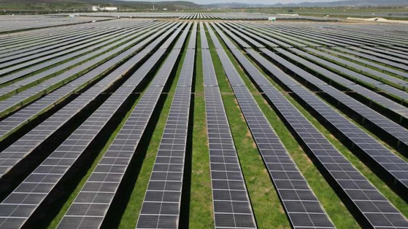 Un nou parc fotovoltaic a început să livreze energie electrică în rețea. E în Prahova și e al unor români