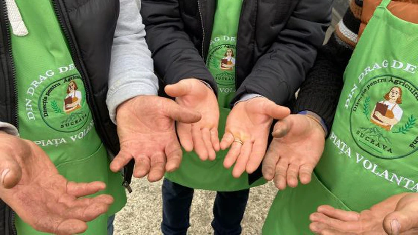 România a ajuns în finale la Premiile UE pentru produse ecologice 2025 cu două proiecte. Unul aparține unei direcții agricole