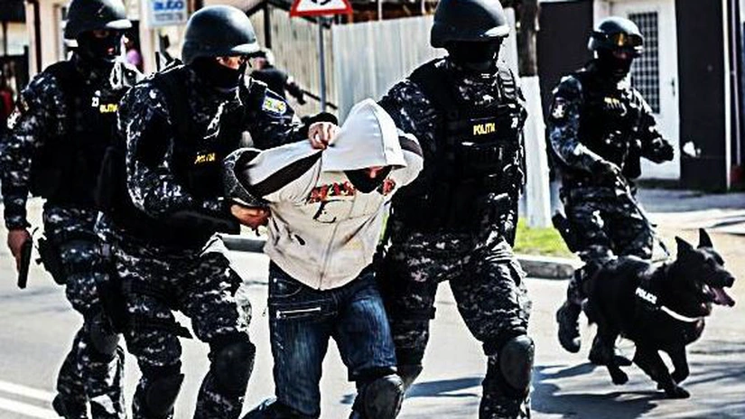 A început Operațiunea Jupiter în România. Ce infracţiuni vizează sutele de percheziţii la domiciliu