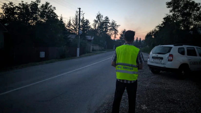 Guvernul suplimentează schema de personal de la Garda Forestieră cu 197 de posturi