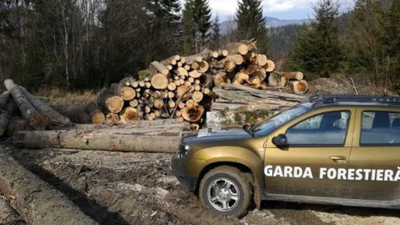 Ministerul Mediului a lansat procedura pentru ocuparea posturilor de inspector şef în cinci dintre gărzile forestiere teritoriale