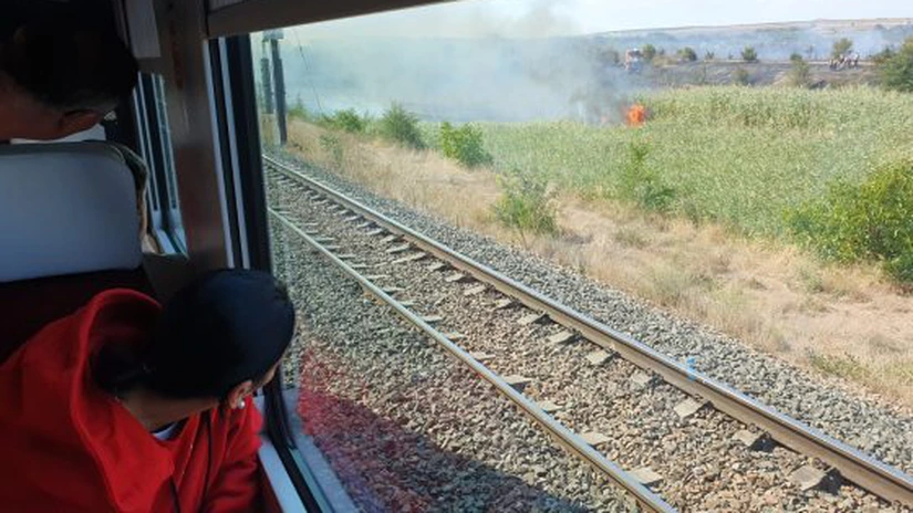VIDEO Tren Constanța - București, întors în stație la Medgidia din cauza unui incendiu de vegetație UPDATE 1