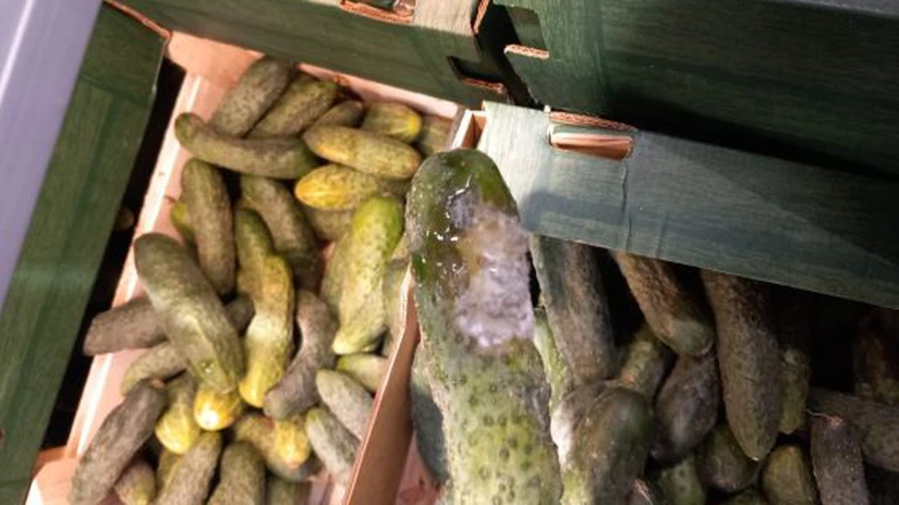 ANPC a controlat peste 1.700 de companii săptămâna aceasta și a dat 1.185 de amenzi