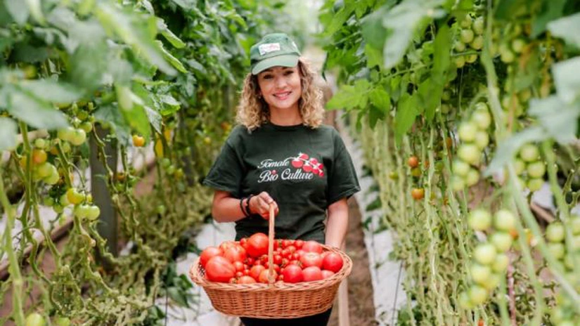 Roșii românești tot anul. Cooperativa din Căpușu Mare, județul Cluj, se alătură programului Carrefour Grădina Noastră