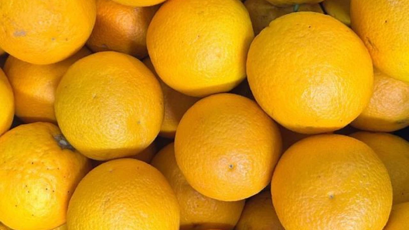 Cum ar trebui să arate lămâile și portocalele ca să merite să le cumpărăm din magazin. Declarație interesantă a șefului ANPC, nimeni nu s-ar fi gândit