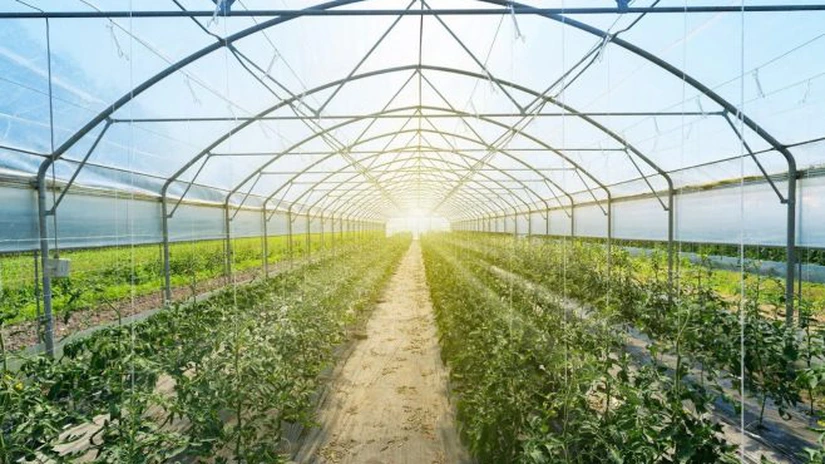 Serele şi solariile nu vor fi impozitate, spune ministrul Agriculturii