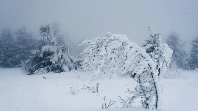 Cod roșu de viscol și ninsoare în România. Care sunt zonele afectate HARTĂ
