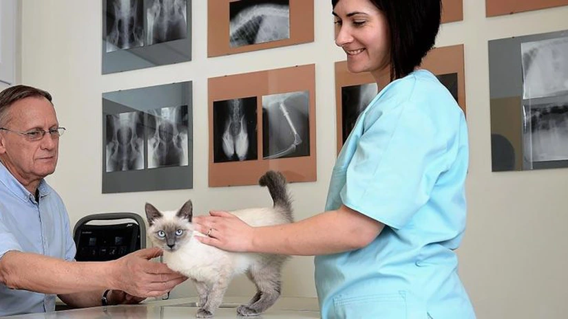 PartnerVet se extinde în Brașov prin preluarea clinicii veterinare Lempeș