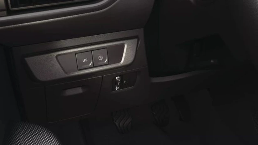 Piața europeană a mașinilor alimentate cu GPL este dominată autoritar de Dacia. Italia este principala destinație