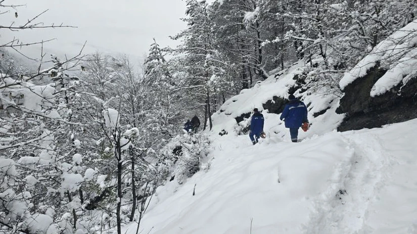 DEER a finalizat intervenția pentru remedierea avariilor la rețelele electrice din Munții Apuseni