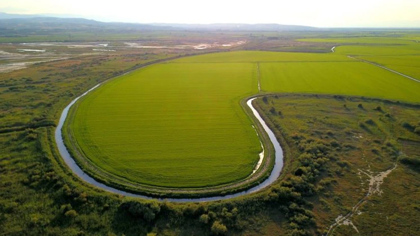 Cultivatorii greci de orez se tem de faliment după semnarea acordului dintre UE și Mercosur. Europa urmează sa importe zeci de mii de tone scutite de taxe vamale