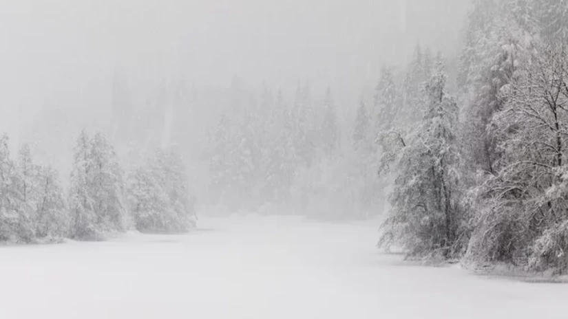 Cod galben de vânt puternic în patu judeţe, luni dimineaţa; ceaţă, burniţă şi gheţuş în alte nouă judeţe