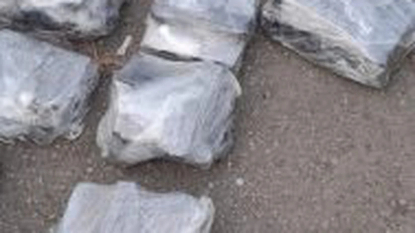 Captură mare de arme în sudul țării. Vameșii și polițiștii au descperit 106 pistoale în urma unui control la Calafat