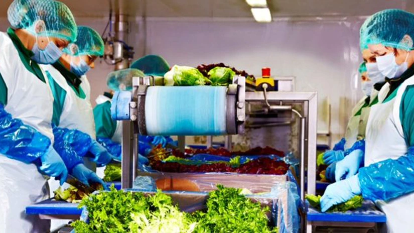 Peste 120 de milioane de lei din salată. Eisberg, liderul pieței de salate gata de consum, crește și în 2025