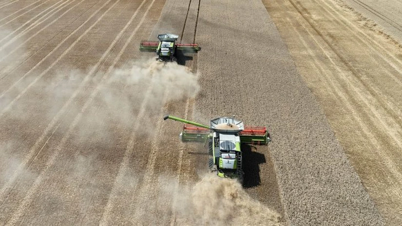 Danezii de la FirstFarms A/S vor să iasă din nou la cumpărături de teren în România. Exploatează deja peste 7.000 de hectare