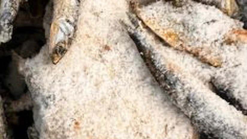 Controale ANPC la peste 1.300 de operatori economici în perioada 20 - 24 aprilie. Inspectorii au dat 869 de amenzi