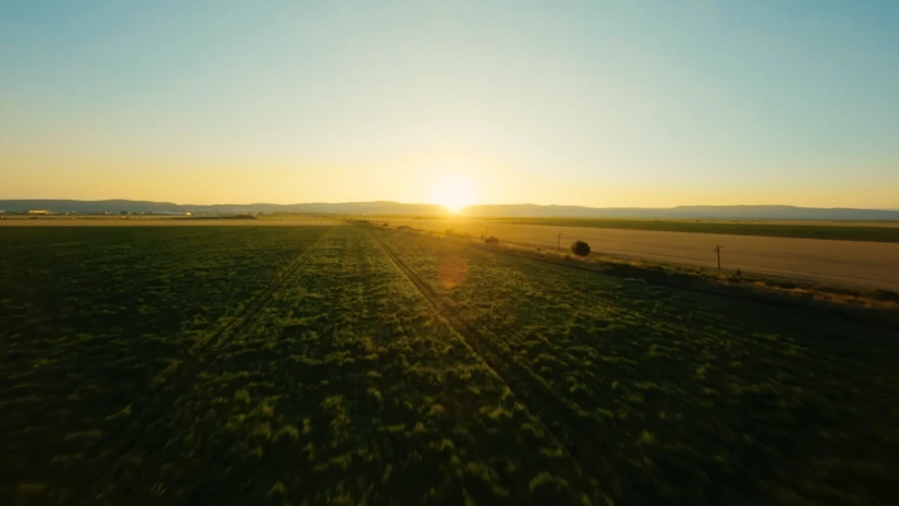 Gigantul PepsiCo schimbă modul în care fermierii români vor putea produce cartofii pentru Lay's