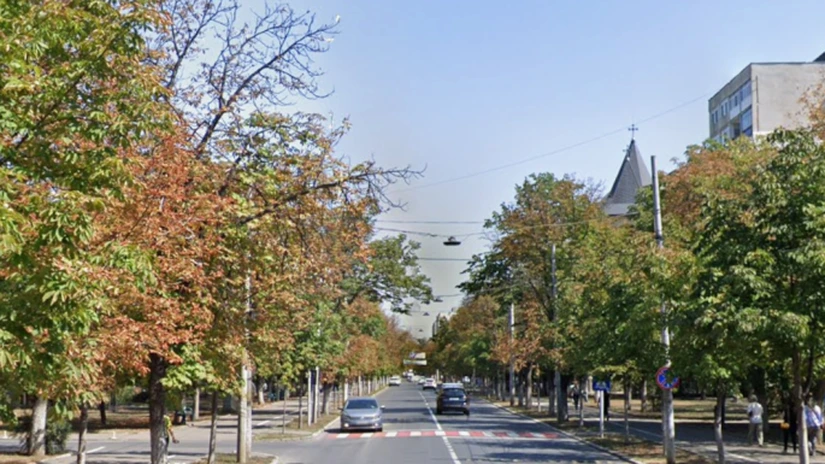 Orașul din România care închide circulația auto pe un bulevard, să nu se usuce copacii