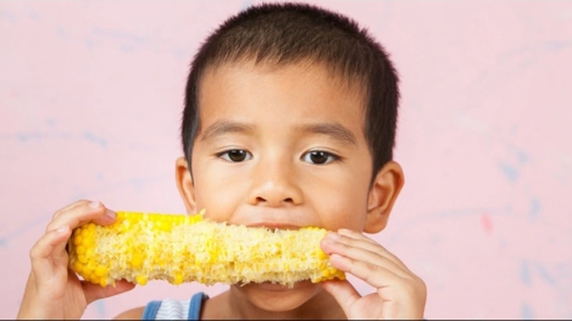 China pune sub lupă cerealele românești. Ce se întâmplă cu exporturile