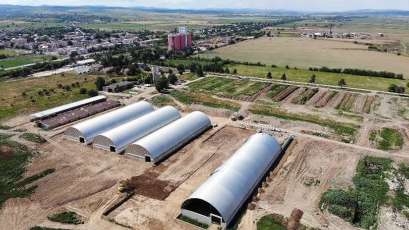 Efect de domino în agricultură: Încă trei firme din Grupul Șerban Holding cer insolvența din cauza unui credit de 70 de milioane de euro