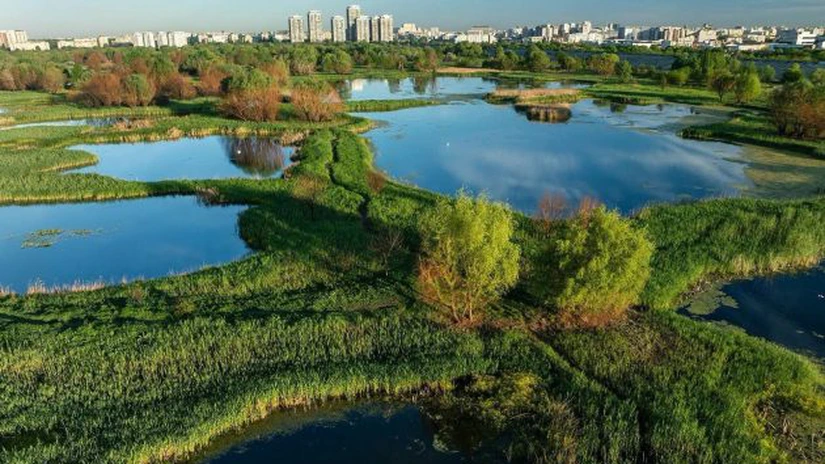 Centura Verde a Bucureștiului. Cum vrea Primăria Capitalei să reducă poluarea