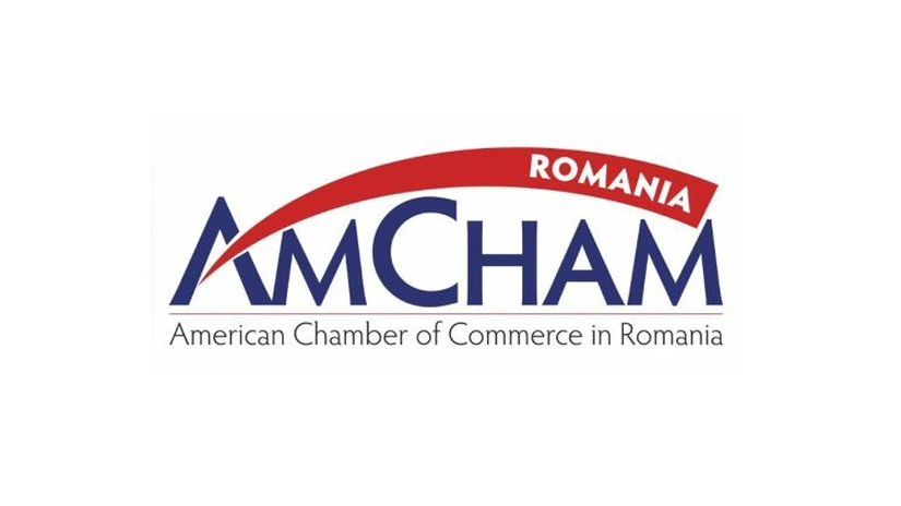 AmCham: Fitch menţine ratingul, dar au rămas îngrijorări privind instabilitatea politică şi încetiniriea reformelor