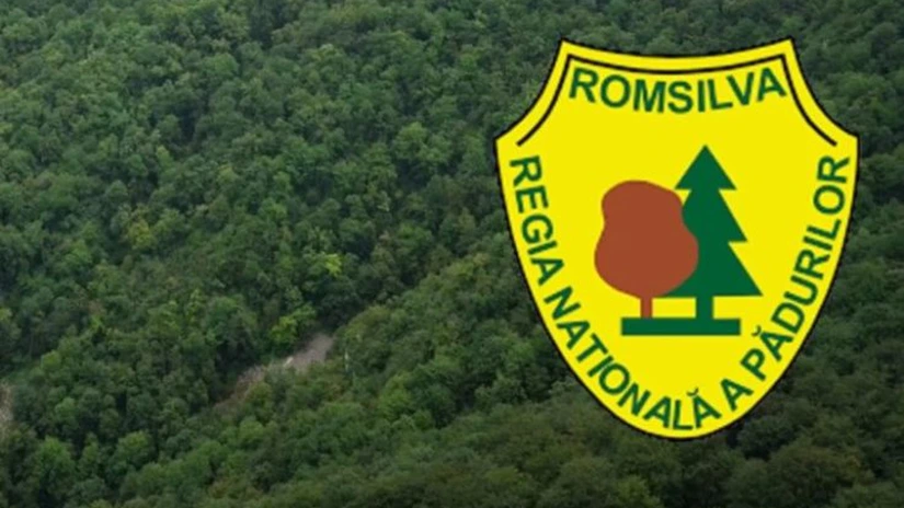 Romsilva - Ce s-a întâmplat cu cele 19 proiecte de investiţii de corectare a torenţilor, finanţate prin PNRR