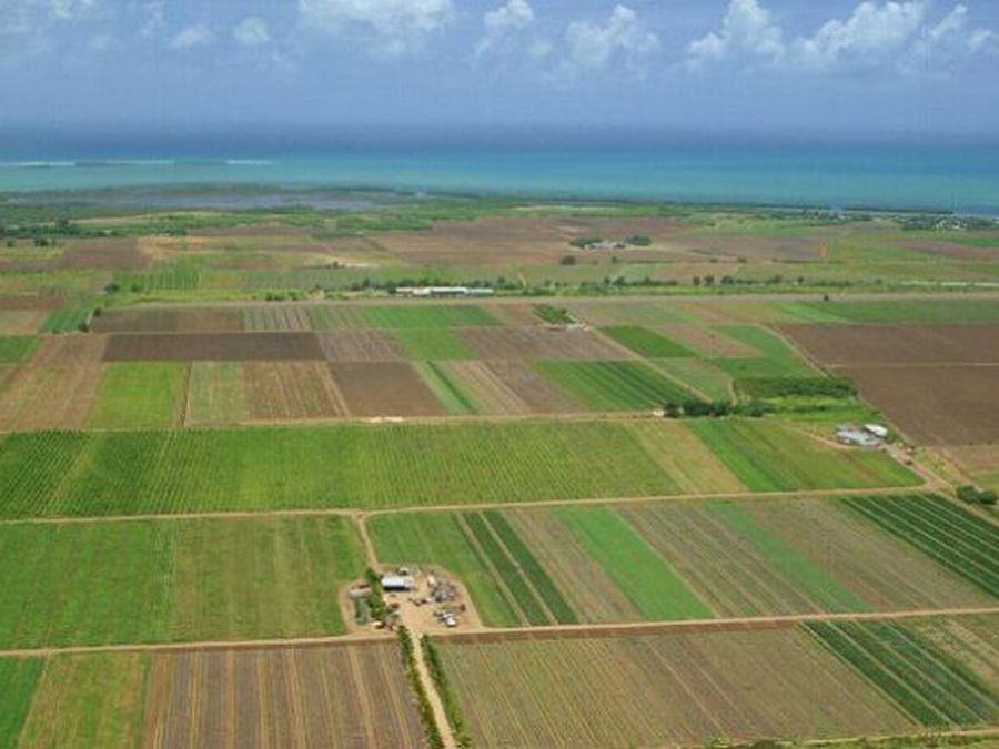 Opt Din 15 Cele Mai Mari ExploataÅ£ii Agricole AparÅ£in Unor Companii StrÄine Un Fond De InvestiÅ£ii American Va Incasa Cele Mai Mari SubvenÅ£ii
